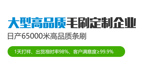 工業(yè)毛刷輥廠生產定制-傲群